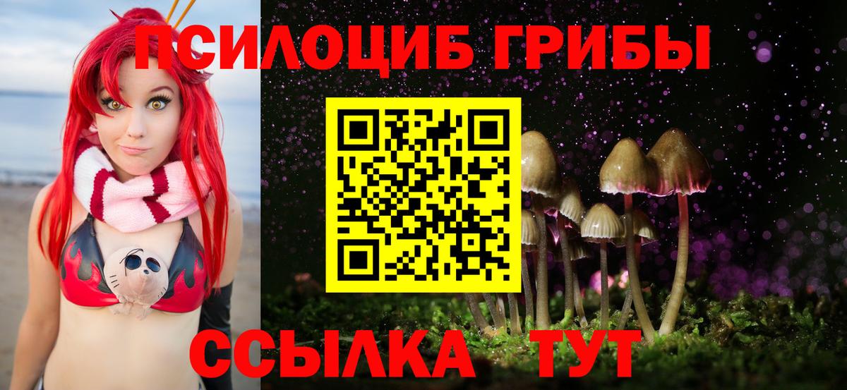 Галлюциногенные грибы ЛСД  Вход с VPN  Галлюциногенные грибы Psilocybine cubensis  дарнет шоп  Гагарин 